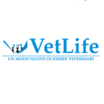 CLINICA VETERINARIA VETLIFE