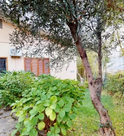 B&B VILLA GIGLIO