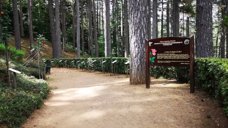 Un giorno nel Parco Nazionale della Sila