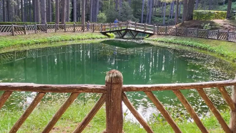 Un giorno nel Parco Nazionale della Sila