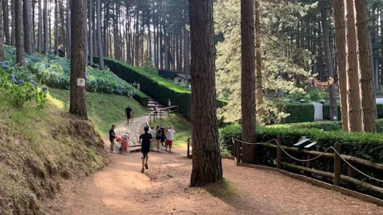 Un giorno nel Parco Nazionale della Sila