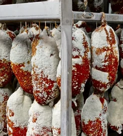 NDUJA BELLANTONE