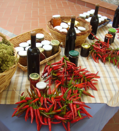 Agriturismo Montesalerno
