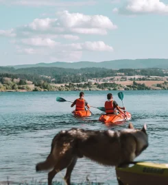 SILA WILD: kayak e SUP sul Lago Cecita nel cuore della Sila