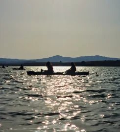 SILA WILD: kayak e SUP sul Lago Cecita nel cuore della Sila