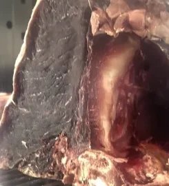 La Griglieria