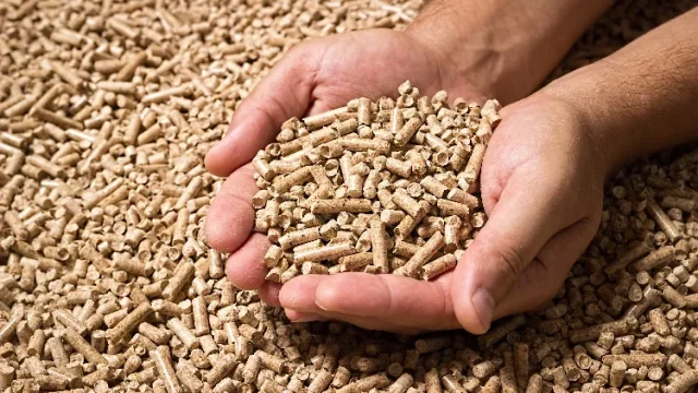 pellet.webp