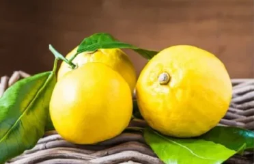 Il bergamotto di Calabria: un tesoro per profumeria, cosmetica e agricoltura
