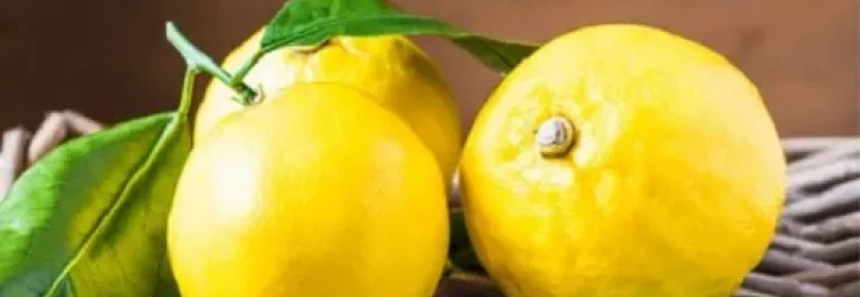 Il bergamotto di Calabria: un tesoro per profumeria, cosmetica e agricoltura