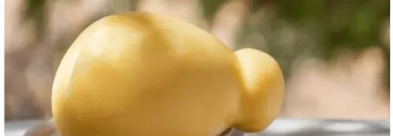 Il Caciocavallo Silano DOP: la tradizione casearia calabrese