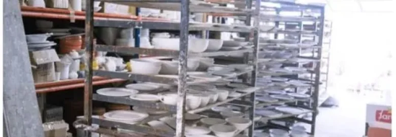 La ceramica artistica calabrese: tradizioni e centri di produzione