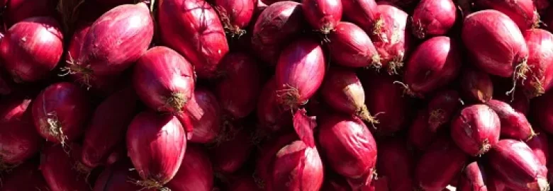 La Cipolla Rossa di Tropea Calabria IGP: storia, qualità e territorio